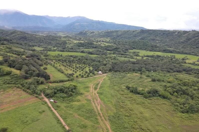 Aerial view of the Bongabon site: grassland, brush and tree rows below the Sierra Madre